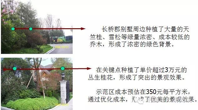 乔木的规格、效果近似的选单价较低的品种大量使用